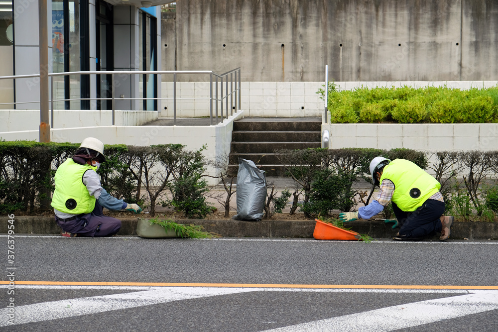 植え込みの手入れ